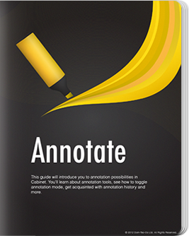 Annotation Guide