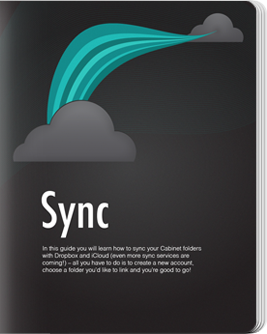 Sync Guide